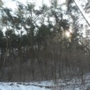 이원초등학교관동분교장 이미지