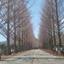 덕과면 용산마을 이미지