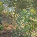 우창목장 이미지