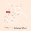 창원 프리마베라 드레스 피팅 후기 추가금 (인터내셔널호텔 그랜드볼룸홀 예식)