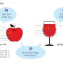 주황문화사