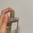 썸머포레스트 | 여름향수추천! 에이페이블 505 썸머 제주 포레스트 오드퍼퓸 사용 후기