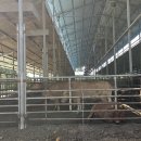 가율축산 이미지