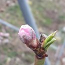 대옥농장 이미지