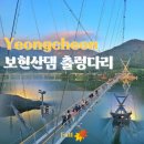 보현 태양광발전소 이미지