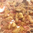 돈마을화로숯불갈비 이미지