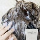 지장 | 프랑스 헤어케어 브랜드 레오놀그렐 에네르지장 샴푸 추천 두피홈케어 후기