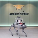 코비즈 이미지