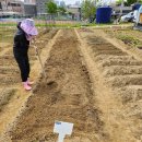 수레로150 이미지