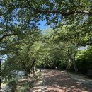 세븐일레븐 경주보문점 이미지