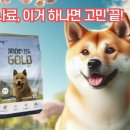 너이버 | 진돗개 사료 찾고 계세요? 활동량 높은 우리 아이에게 맞는 강아지 사료, 여기 있습니다!