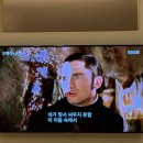 스테이인블루