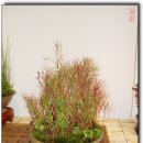 대덕문화전당 이미지