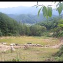 임기만 농장 이미지