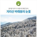 해돋이농장 이미지