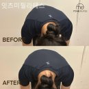 잇츠필라테스연구소 | 제기동 필라테스 잇츠미필라테스 필라테스 플레이스 체험 수업 다녀온 후기