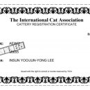 애월캐터리 이미지