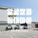 알콩쌀콩 등대마을 | [김제] 알콩쌀콩등대마을 물놀이장 후기