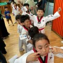 전진 효 태권도장 이미지