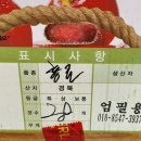 싸인제주