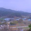 금사초등학교