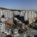신흥수지 이미지