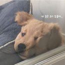 디벨롭 - 부천시 원미구 부일로233번길 21 | 디벨롭