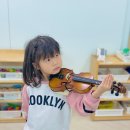 바이올린 (B) 이미지