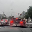 둔산성모마취통증의학과의원 이미지