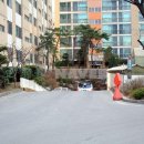 상록수부동산공인중개사사무소 이미지