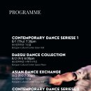 제13회 NDA 국제무용페스티벌 이미지