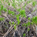 야산농장 이미지