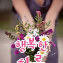 매화정 Daum카페