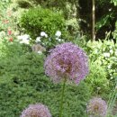 명대마을회관 이미지