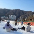 러시아어로 쉽게 말하기(초급) | 스노보드 강습 2시간 보드 난생처음 타는 왕초보의 후기 (비발디파크)