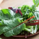 충실농장 이미지