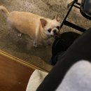 외대김약국 이미지