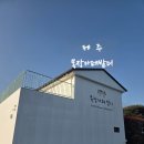 송이목장 | 제주 목장 카페 밭디 승마체험 이색자전거 직접체험후기