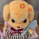[AST서포터즈 5기 발대식]_시작할 수 있는 기회