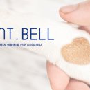 세인트벨 인터내셔날 네이버블로그