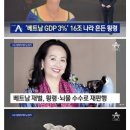 베트남 사상 최악 횡령 스캔들…횡령액이 GDP의 3% 이미지