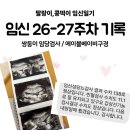 한샘목장 | (쌍둥이 임신기록) 26-27주차 임당검사 / 통영나들이 / 에이블베이비 구경