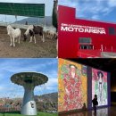 삼부자목장 | 증평 벨포레 아이랑가볼만한곳 하루 코스 액티비티 총정리