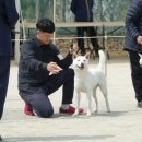 웅비로 이미지