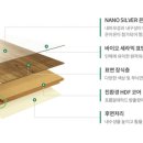 신일초교 이미지