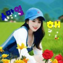 대성의료기상사 Daum카페
