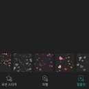 동영상 편집(곰믹스, 파워디렉터) 이미지