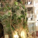 소풍(부천터미널) 이미지