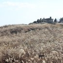 서원목장 이미지