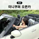 원카써비스 | 제주도 오픈카 렌트 미니쿠퍼 컨버터블 렌터카 내돈내산 후기 가격